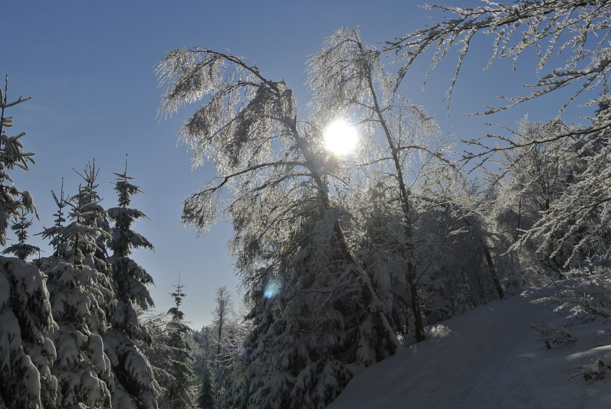 Bergwacht_DSC0987