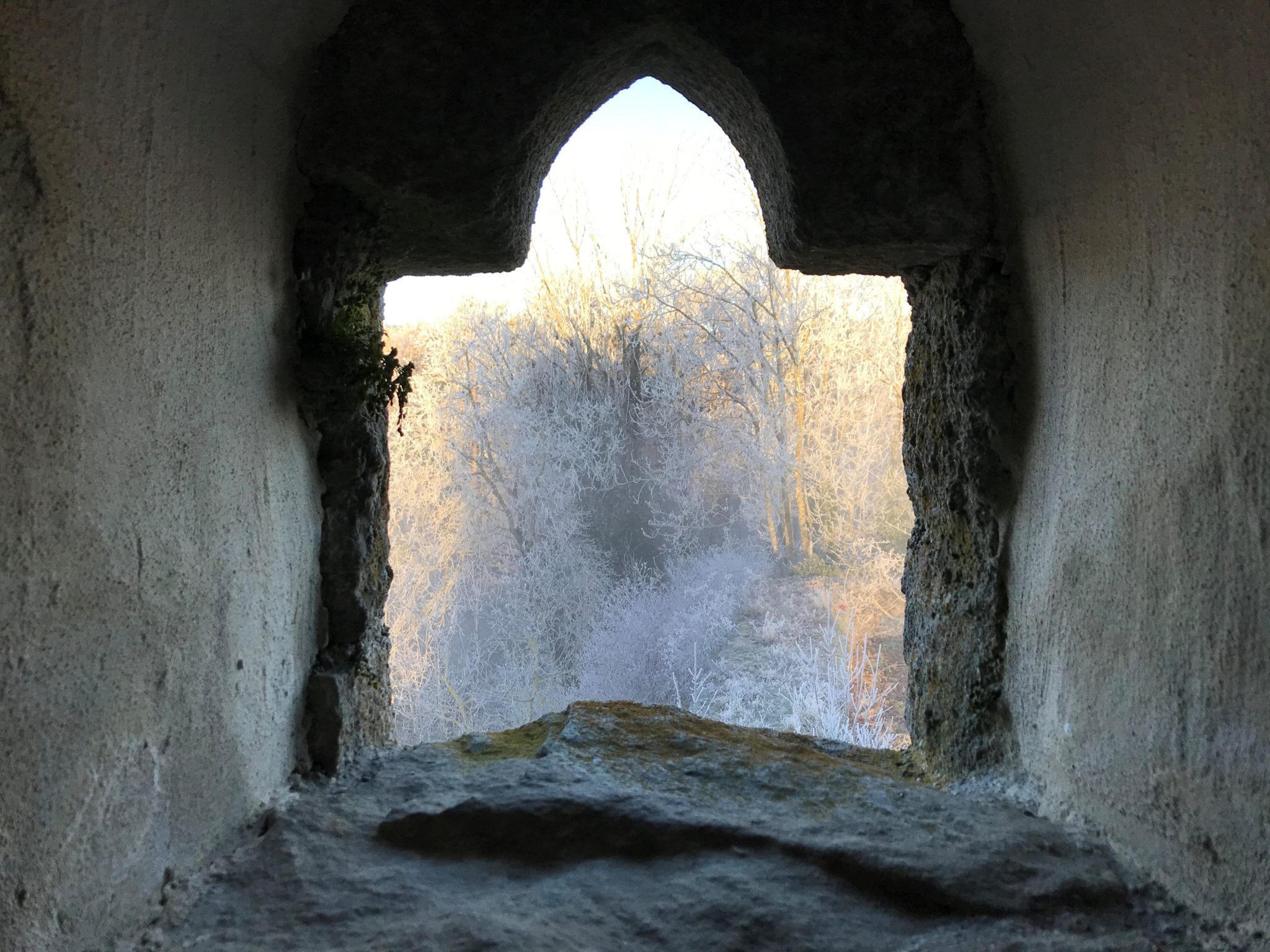 Herbst Burgfenster
