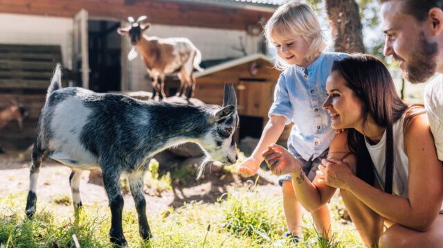 Familie im Ziegengehege im Viechtacher Bauernhof