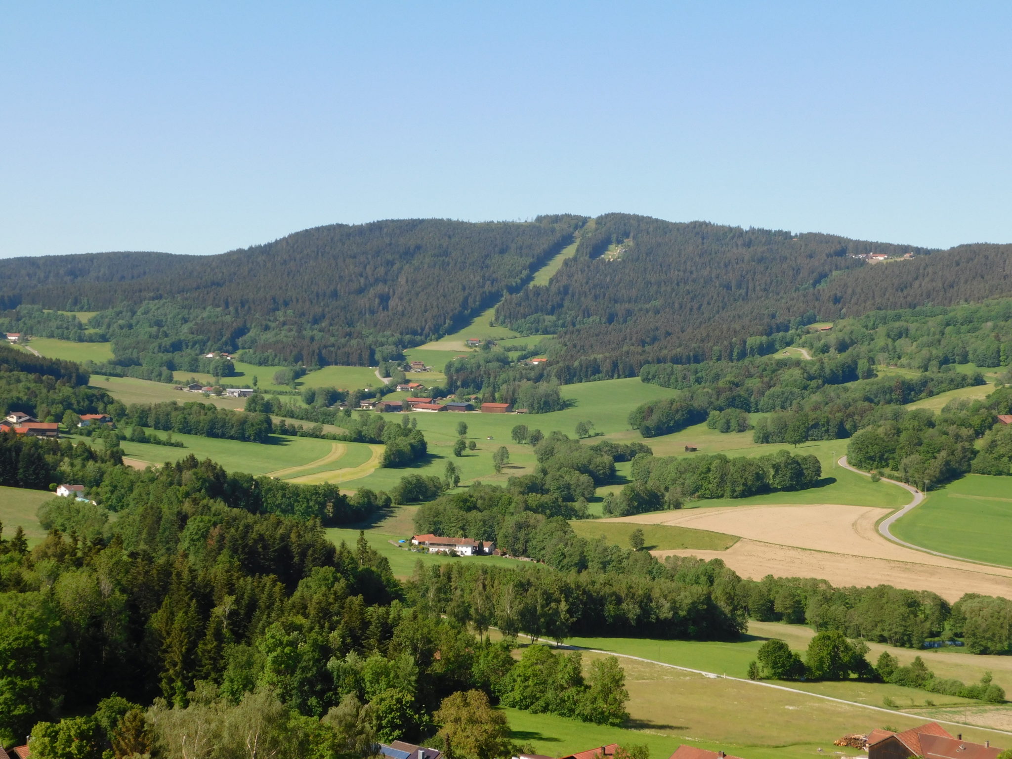 DSCN0008